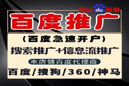 优化SEM广告：成功案例经验分享